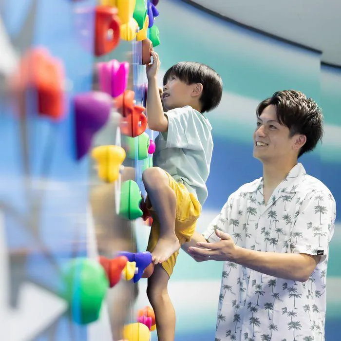시모다 온천 사계절 코스: 해안 액티비티·역사 거리·온천욕 시간 배분법