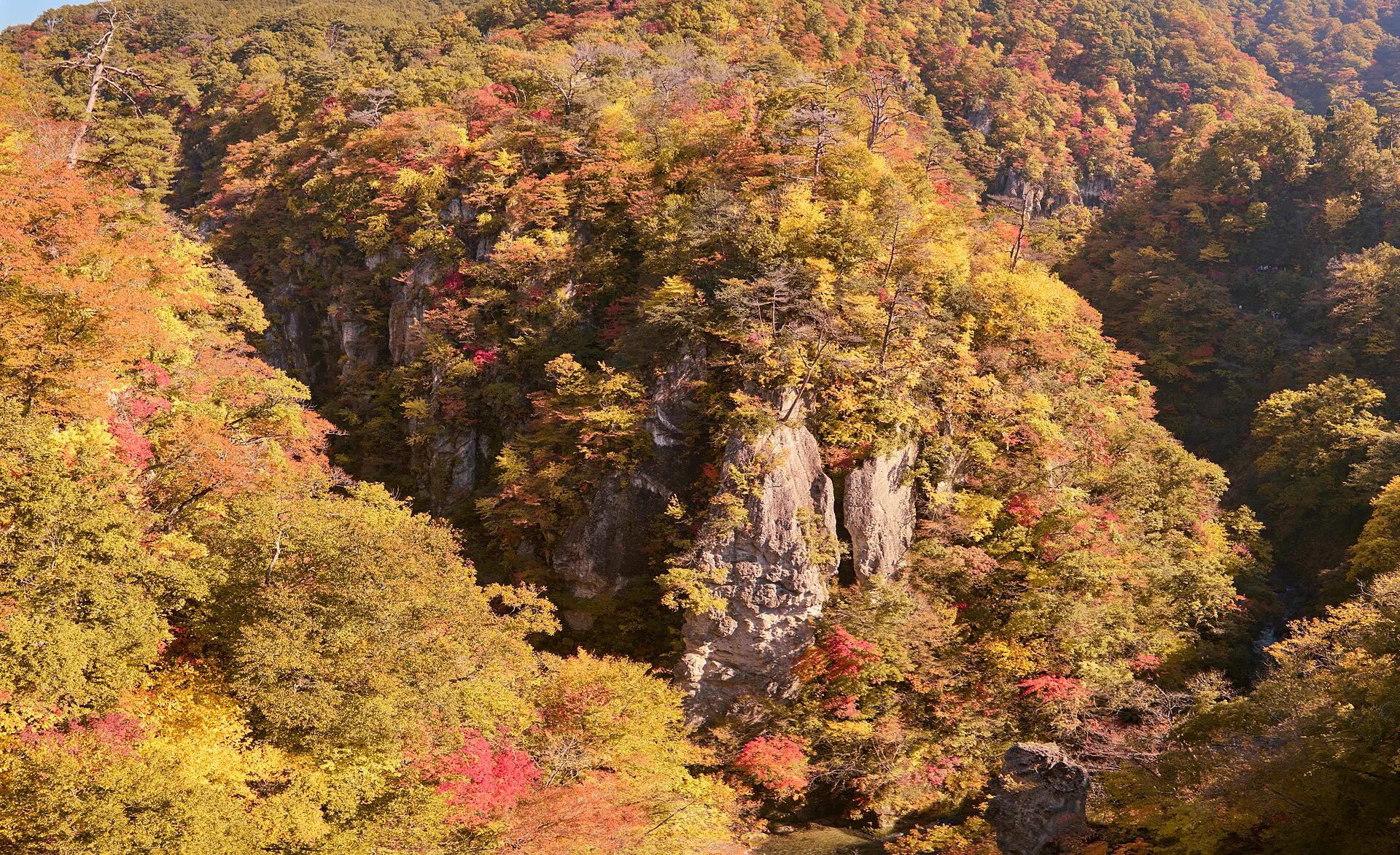 가을철 나루코쿄의 절벽, 숲과 단풍 경관