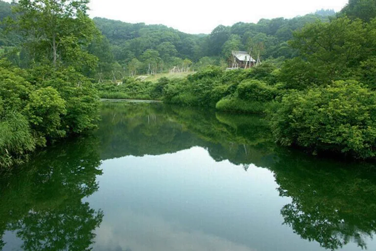 쓰바메 오고노노유(쓰바메 온천 오고노노유) 시설 사진 2