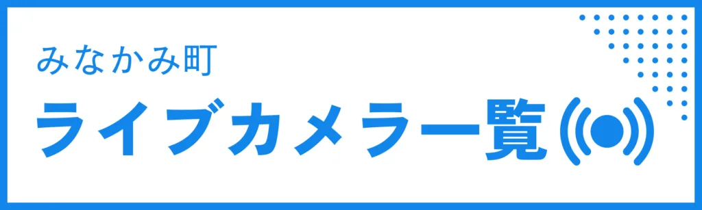 미나카미정 라이브 카메라 목록