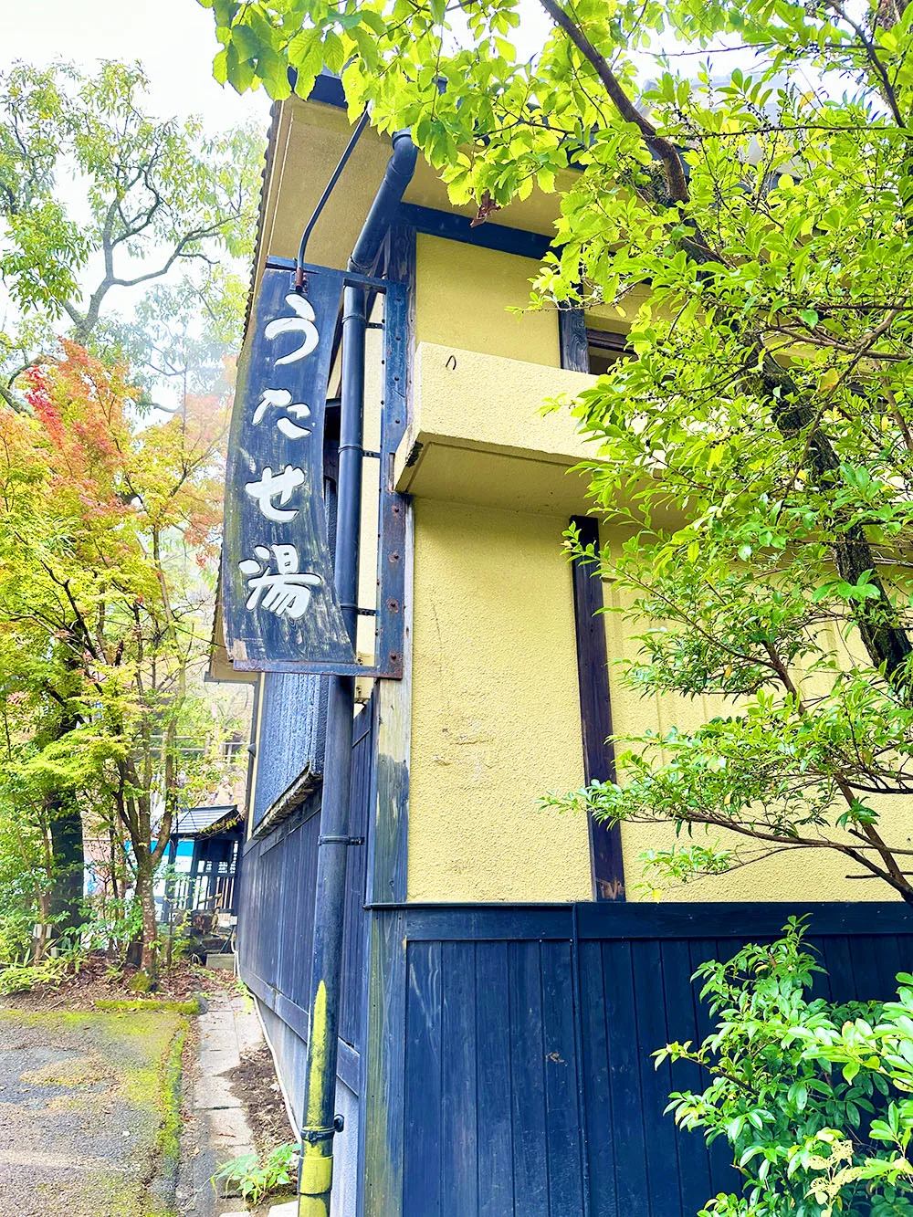 스지유 온천 당일치기 어디로? 우타세 대공동탕·간유·야쿠시유·전세탕(시간대별로 한 팀이 단독 이용) 비교